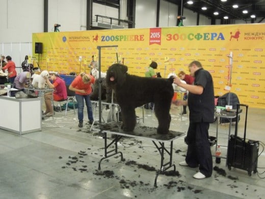 Международная выставка товаров и услуг для домашних животных «Зоосфера» 2015