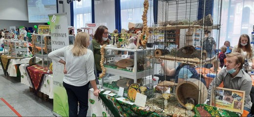 5 сентября 2020 года в Москве в Амбер Плазе прошла выставка домашних животных ЗооПалитра, завершившая шестнадцатый выставочный сезон.