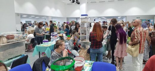 7 сентября 2024 года в Москве в бизнес-центре «Амбер Плаза» прошла выставка «ЗооПалитра», которая стала грандиозным событием для всех любителей домашних животных. 7 сентября 2024 года в Москве в бизнес-центре «Амбер Плаза» прошла выставка «ЗооПалитра», которая стала грандиозным событием для всех любителей домашних животных.